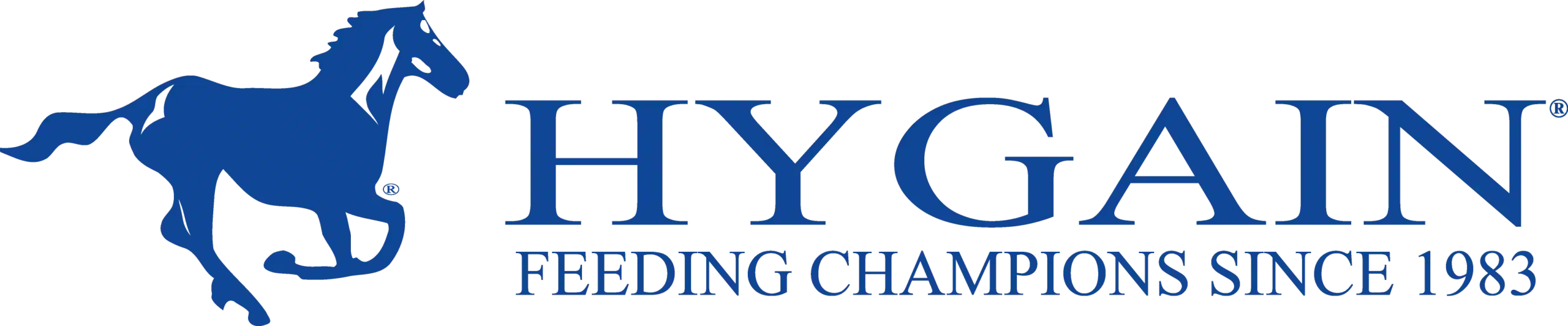 Hygain-Logo-large
